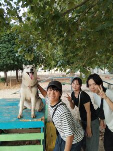 IMG_20250913_180644